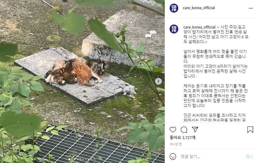 서울 올림픽공원서 고양이 사체 잇따라 발견