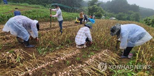 전농 충남연맹 "농촌 인력난 심각…근본 대책 마련해야"