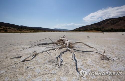 미국 서부 6월 폭염 주범은 대형 열돔과 20년 대가뭄