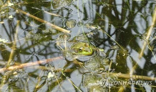 뜨거운 감자로 떠오른 '새만금 국제공항 건설'…찬반 논란 가열