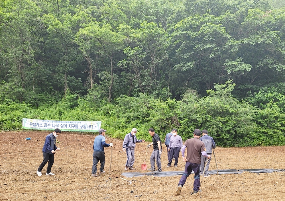 탄소 나무 심어 지구환경 살리고 소득도 올리고