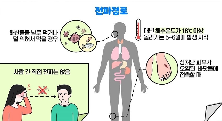 [인천 강화소식] 택시타고 강화도 관광지 일주…여행택시 운영