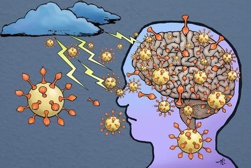 또 밝혀진 코로나 '비밀 무기', 뇌 밖에서 뇌 염증 일으킨다