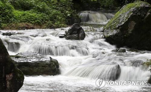 무등산국립공원 도원계곡 여름철 일부 개방…수영·취사는 금지