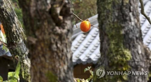 전북도, 9월까지 '농촌관광 통합 플랫폼' 구축