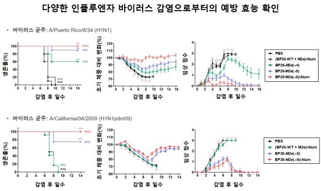 KAIST, 다양한 변이에도 면역 가능한 인플루엔자 백신 개발