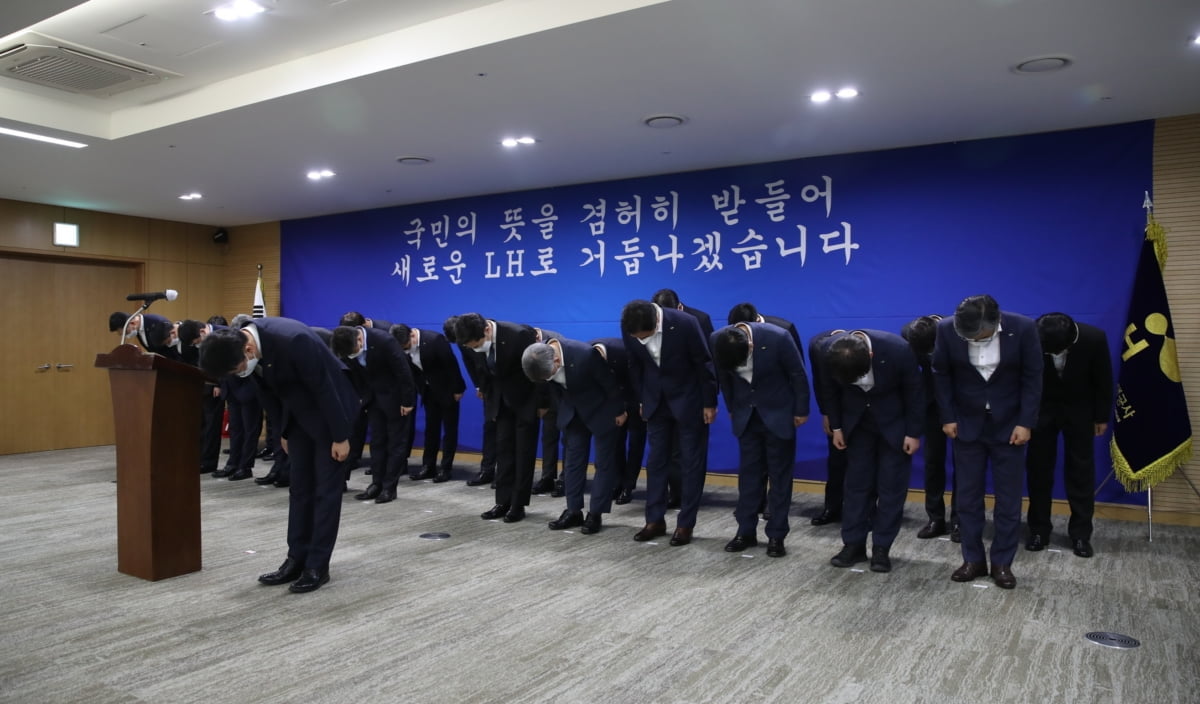 LH법 시행령 개정안 국무회의 통과…준법감시관, 투기행위 조사