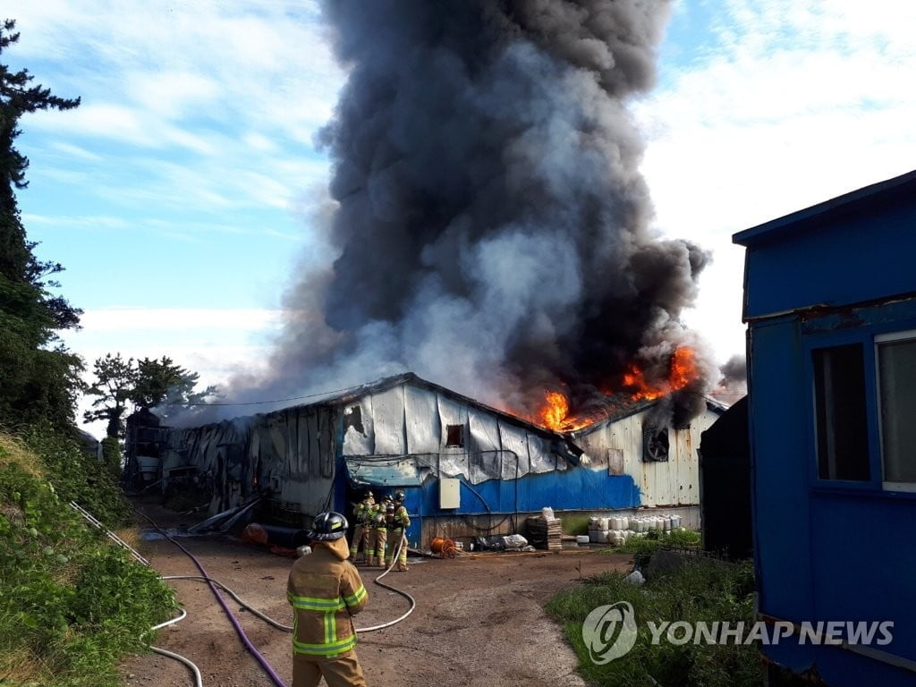 제주 양돈장 화재로 돈사 2천400㎡ 불타…대응 1단계 발령