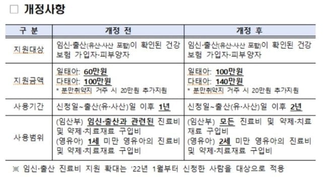 내년부터 임신·출산 지원금 100만원…쌍둥이 140만원