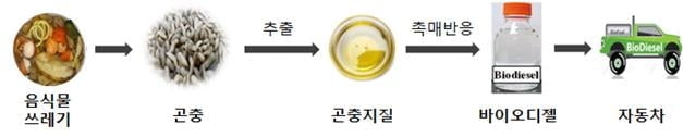 한국석유관리원, 곤충 바이오디젤 제조 기술 확보