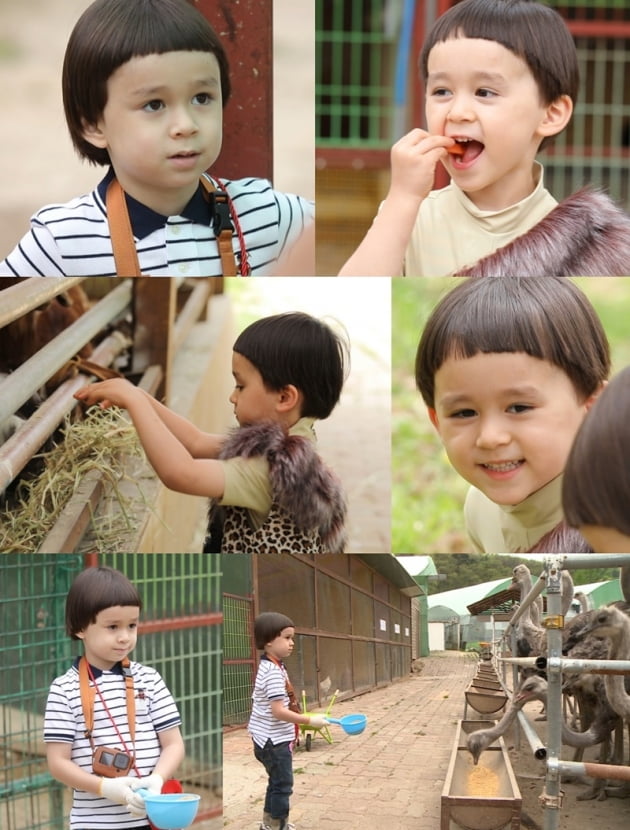 '슈퍼맨이 돌아왔다' / 사진 = KBS 제공