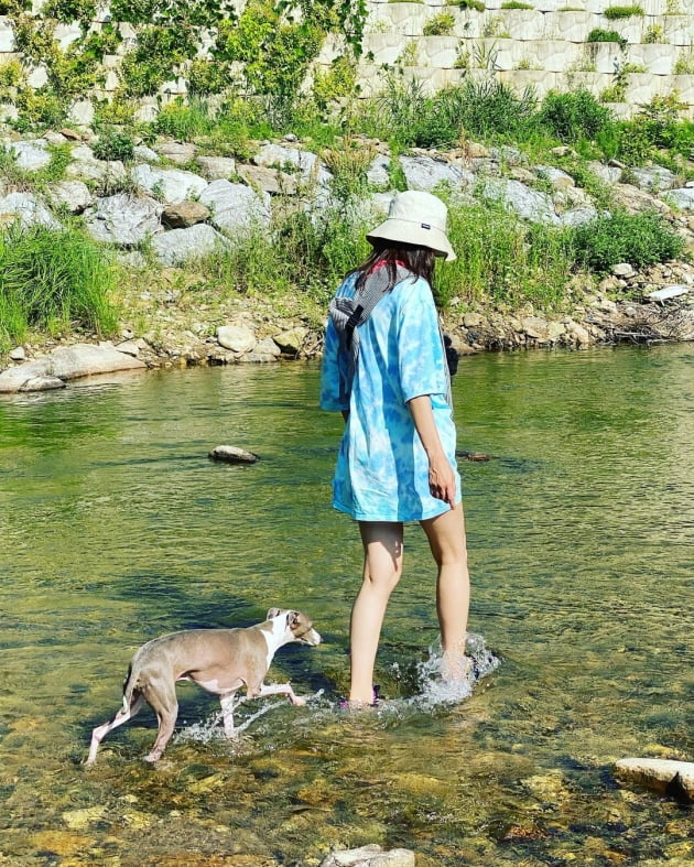 공효진 닮아 반려견 다리도 '길쭉' [TEN★]