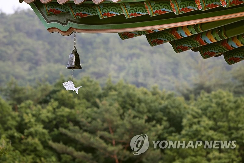 후덥지근 날씨에 이른 피서행렬…전국 유명산·해수욕장 '북적'