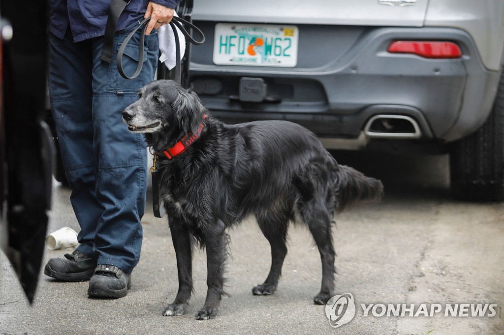 개는 훌륭하다…마이애미에 참사 실종자 가족 달래려 출동