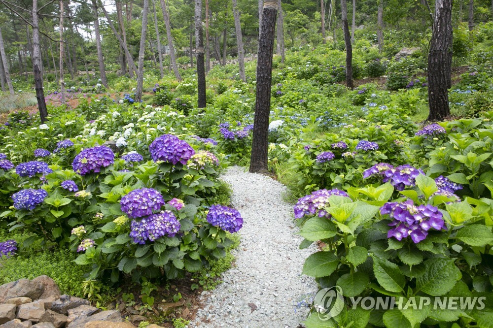 해남군, 코로나 백신 접종완료 관광객 1인당 5만원 지원