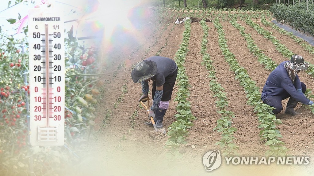 제주에 '온열질환 안전사고 주의보' 발령…폭염구급대 운영