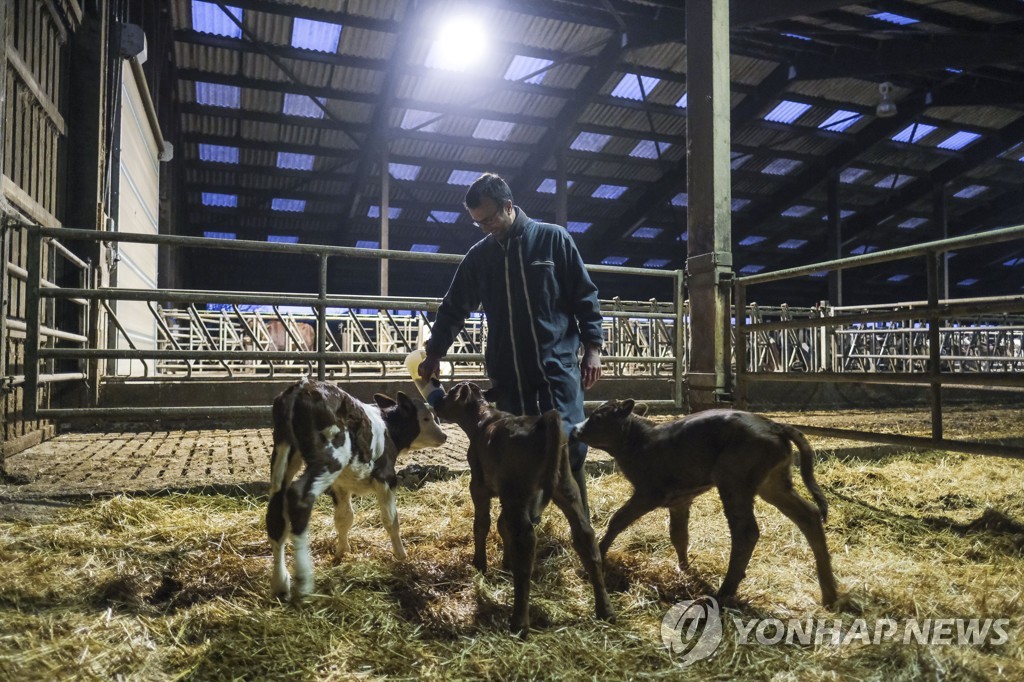 EU, 광우병 때 도입한 '동물사료 가축 사용 금지' 해제키로