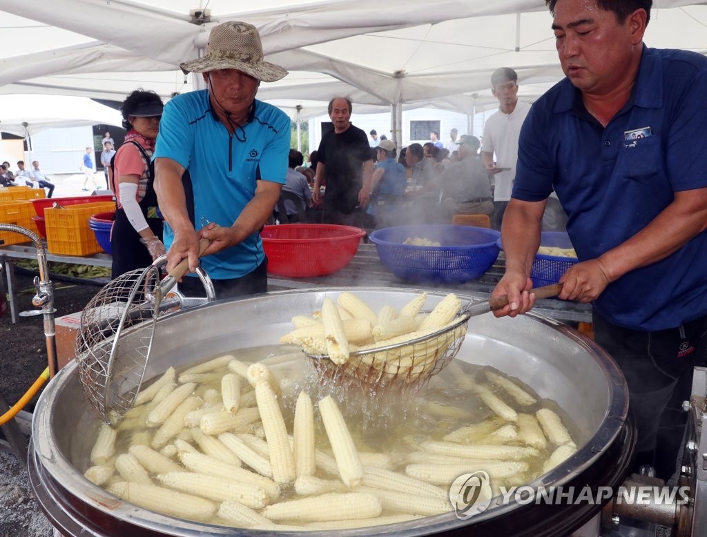 [통통 지역경제] 재배·포장 표준화로 농가 소득 올린 울산 '바로맛콘'