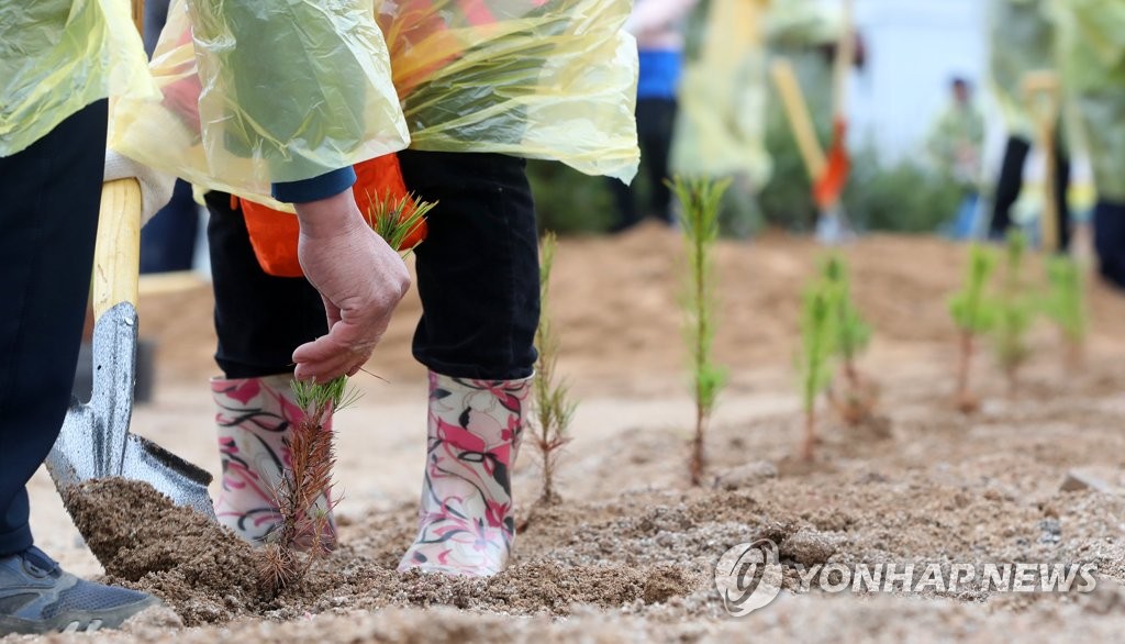 '한반도 생태계 연결' 철원 남북산림협력센터 15일 착공