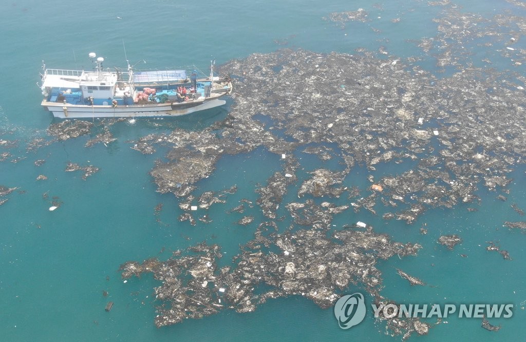 폐플라스틱에 신음하는 바다…해양환경 지킬 묘안은