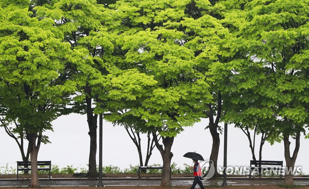 강원 중북부 내일까지 5㎜ 비…동해안 낮 최고 30도