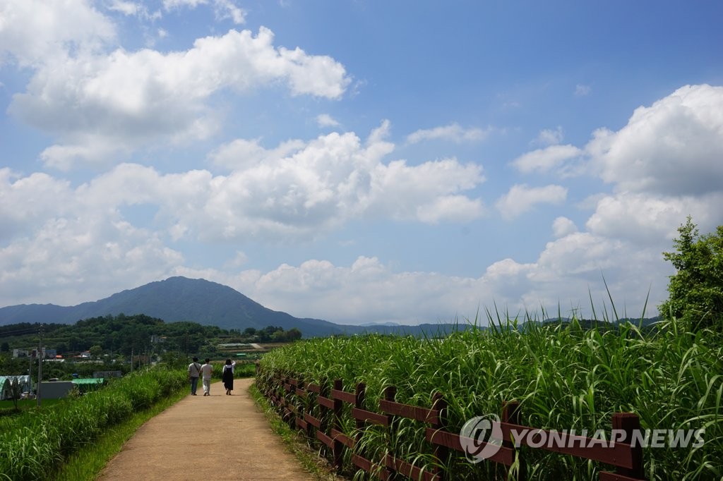 맑고 무더운 경남·울산…낮 최고 32도