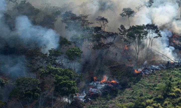 브라질, 아마존 파괴 단속하려 군병력 두달만에 재투입