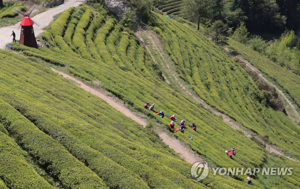 초여름 날씨에 산과 바다로…해운대해수욕장 3만5천 인파