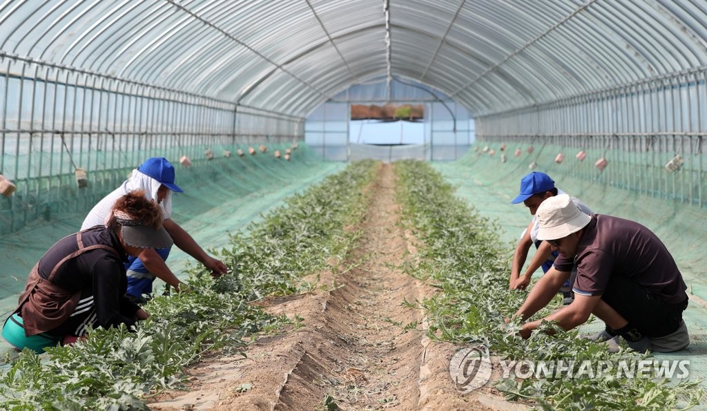 우즈베크 노동자 50명 무주 농촌현장 투입…계절근로자 파견협약