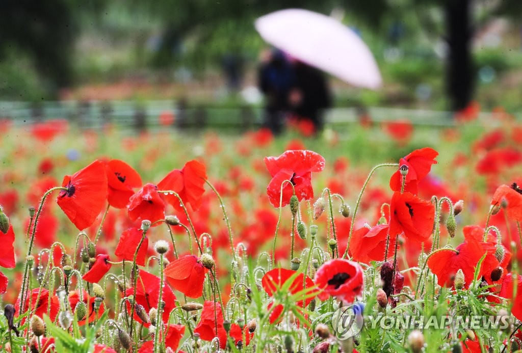 수도권·강원 곳곳 빗방울…낮 기온 22∼30도