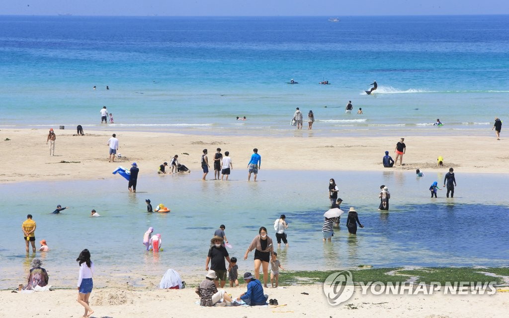 맹독성 해파리·문어에 상어, 이안류까지…해수욕객 위협 요소