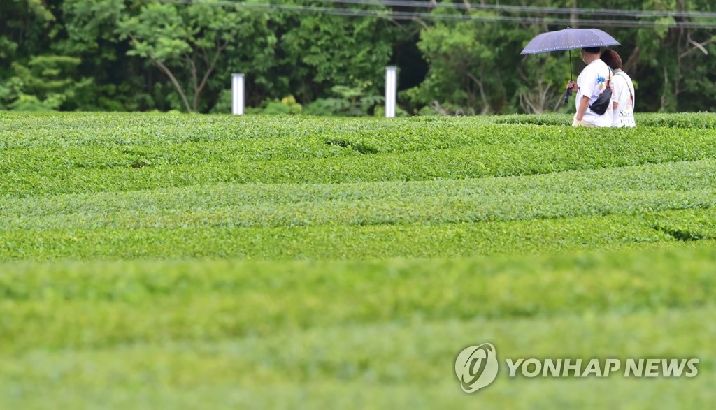 제주, 곳에 따라 비…예상 강수량 5∼30㎜