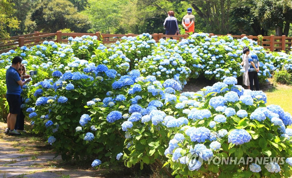 [날씨] 흐리다 아침부터 맑아져…대기 청정