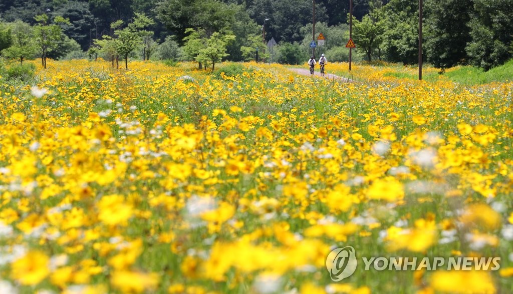 낮 최고 33도 초여름 더위…중부 곳곳 밤비