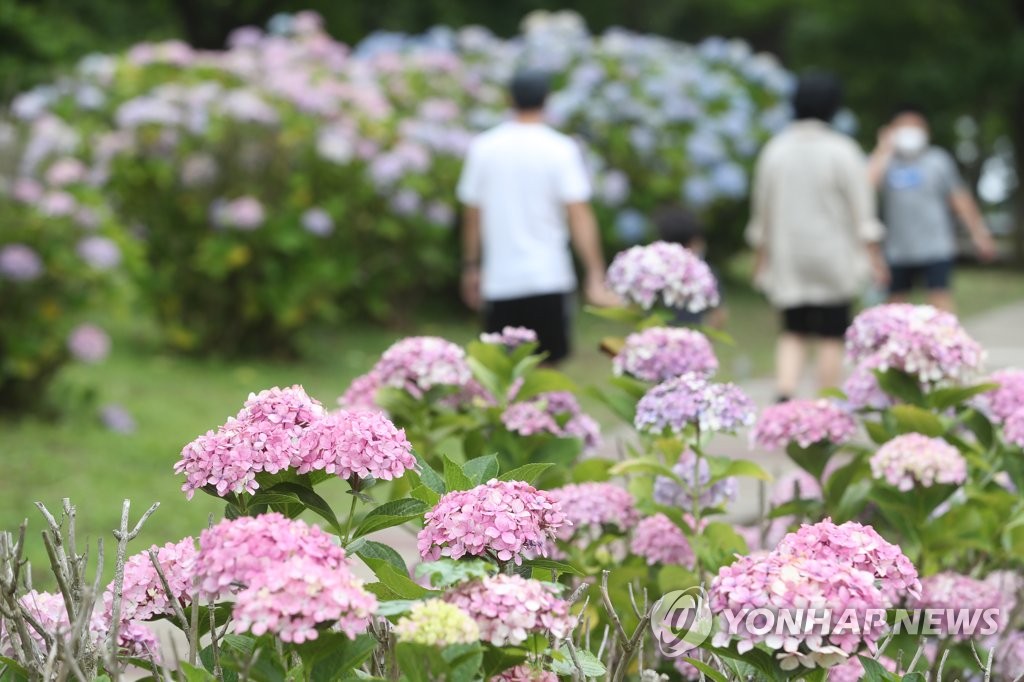 제주 맑다가 구름 많아져…낮 최고기온 28도