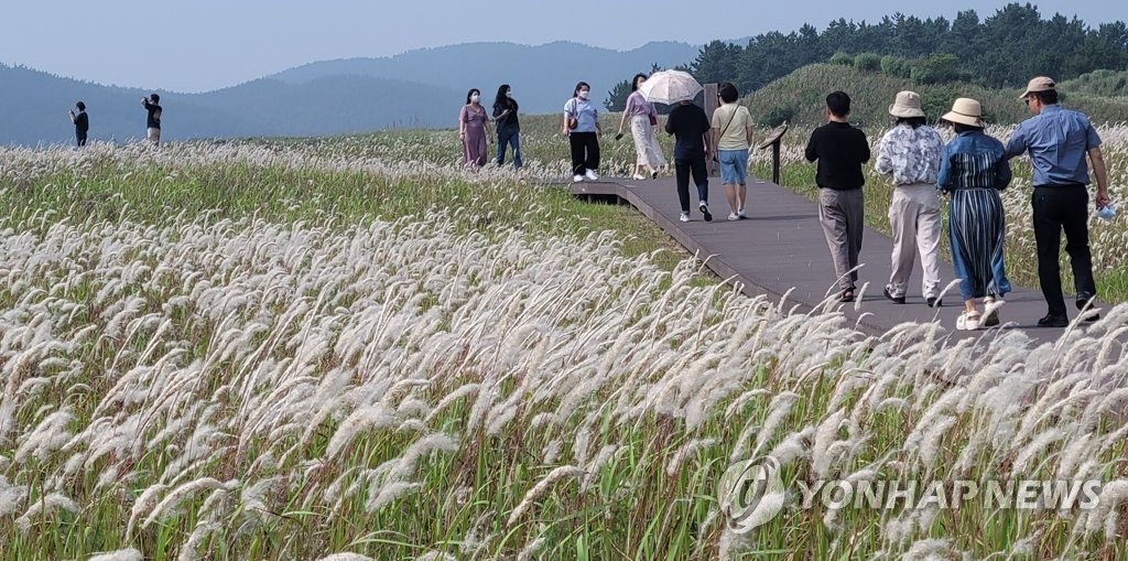 전국 30도 넘는 무더위…'녹음 짙은 산과 시원한 바다로'