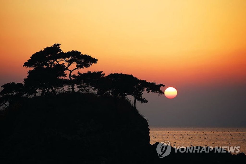 '해송과 낙조의 조화'…부안 솔섬 전북도 기념물 지정