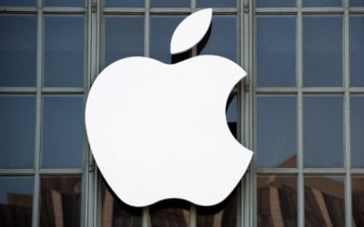 '수수료 30% 강제 논란' 애플 "전세계 성장 위한 것"