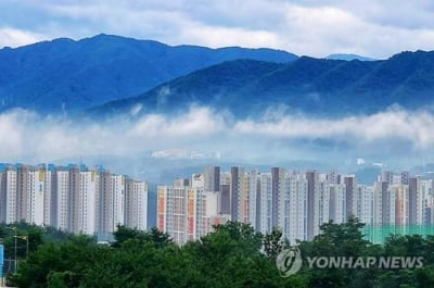 강릉 아파트 매매가격지수 2015년 이후 최고치 기록