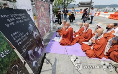 불교계 단체 "반생명적인 '예방적 살처분 제도' 전면 개정해야"