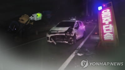 음주사고 내고 뒤쫓던 경찰차도 들이받은 운전자 입건