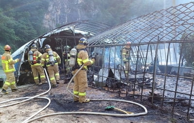 삼척 비닐하우스서 불…50대 여성 전신 화상