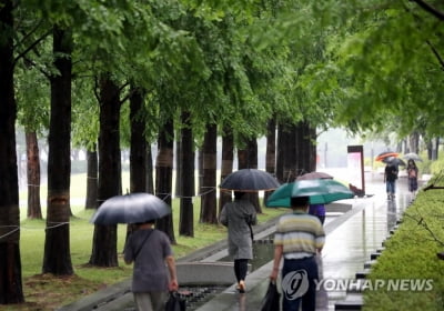 [날씨] 흐리고 남부에 많은 비…더위 한풀 꺾여