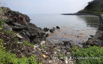 태풍·호우 뒤 대량 발생하는 해양쓰레기…정부, 관리 강화한다