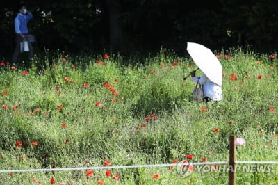 [날씨] 아침부터 차차 맑아져…한낮엔 다시 더워