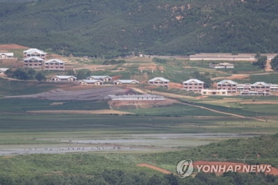 WFP "올해 11월까지 대북 식량지원 자금 64억원 부족"