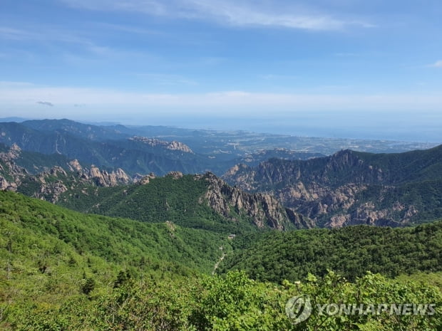 해수욕장에 발 담그고, 산바람 맞으며 스트레스 '싹'