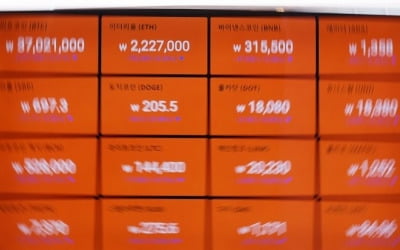비트코인 국내가격 3700만원대…한때 3390만원까지 급락