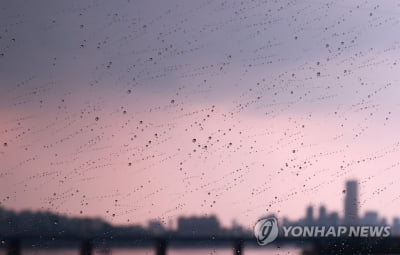 오늘 저녁과 내일도 요란한 소나기…선선한 날씨