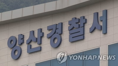 양산 성인 게임장서 현금 불법 환전한 업주·종업원 입건